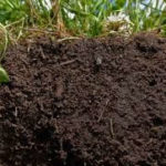 Soil Moisture Monitoring