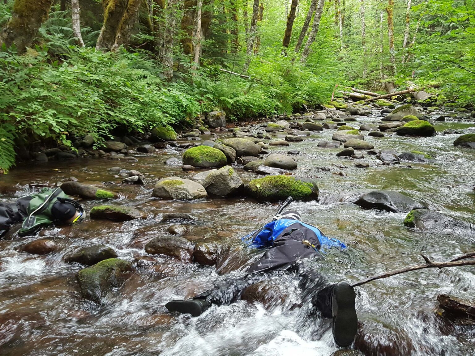 Two men in underwater gear monitoring a stream